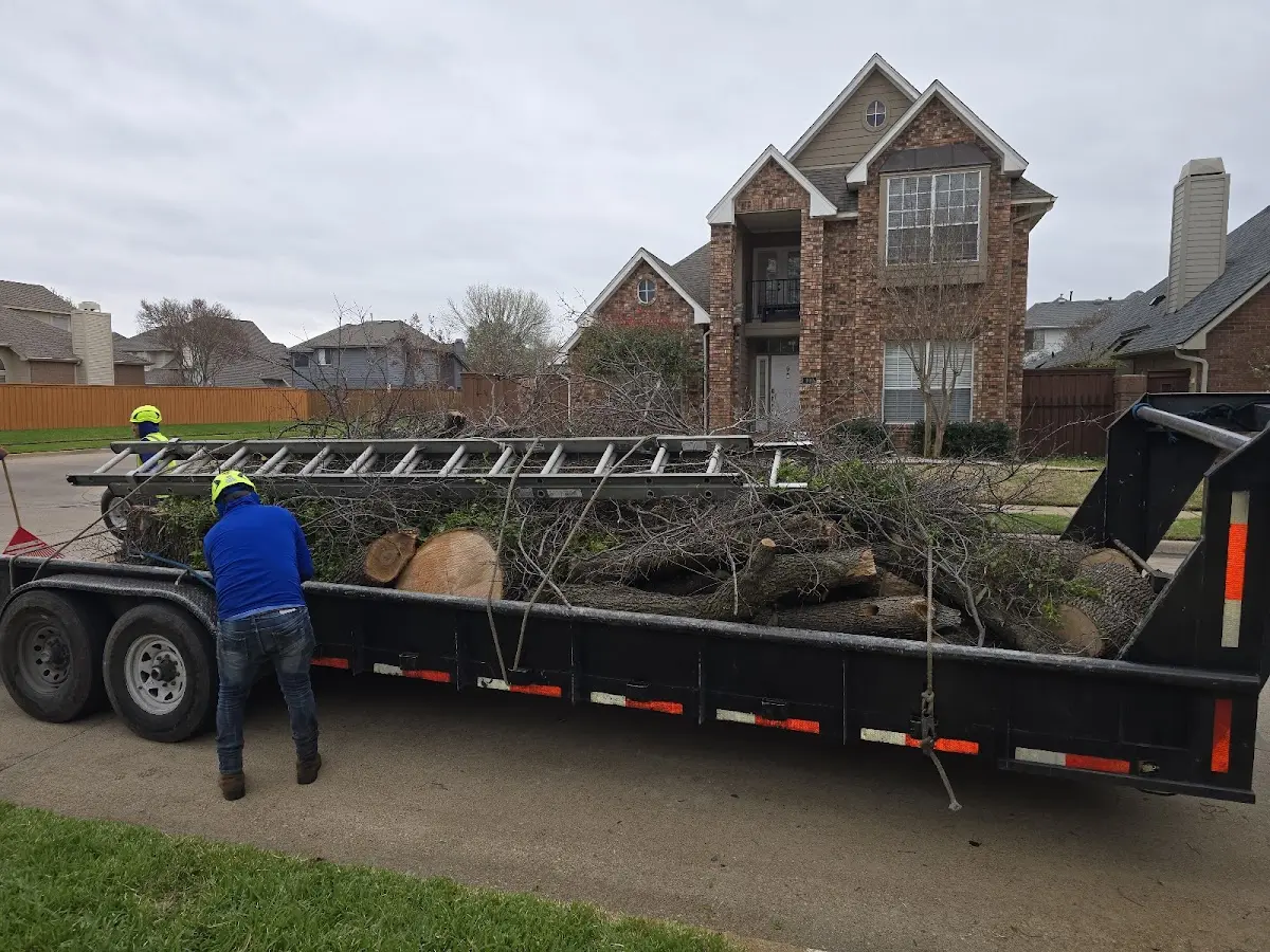 Expert Lot Clearing with proper safety equipment in Bronte